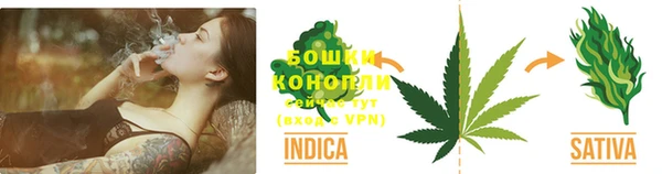 сатива Армянск