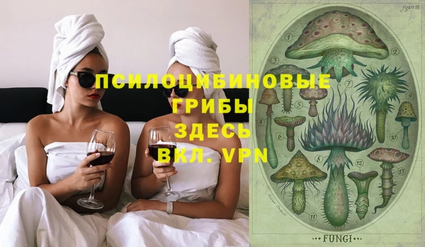 мдпв Арсеньев