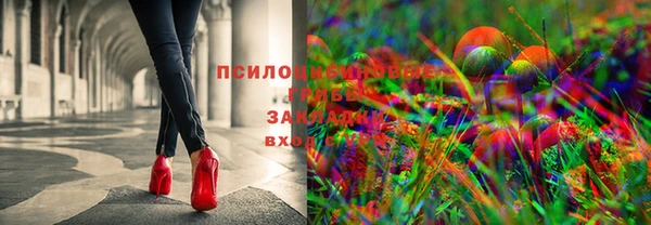 сатива Армянск