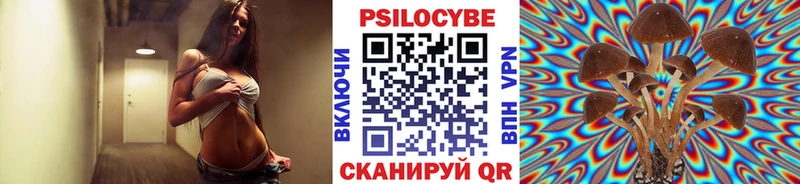 Галлюциногенные грибы Magic Shrooms  магазин    Белокуриха 