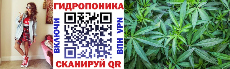 МАРИХУАНА SATIVA & INDICA  Белокуриха 